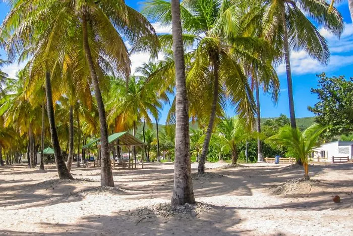 La Désirade : une ile paradisiaque de la Guadeloupe